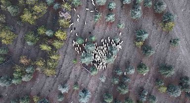 1 milyon 220 bin metrekarelik mera arazisinde "imar planı" iddiası: Müfettişler incelemeye aldı