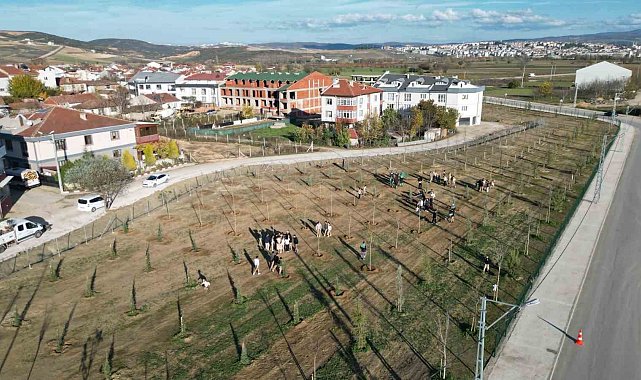 572 fidanlı koruluk Akhisan'a nefes olacak