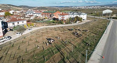 572 fidanlı koruluk Akhisan'a nefes olacak