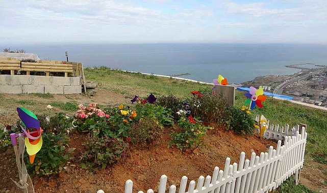 6 bin kişilik mezar yeri için talep oranı yüzde 95'e ulaştı