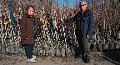 75 üreticiye 3 bin 600 fidan
