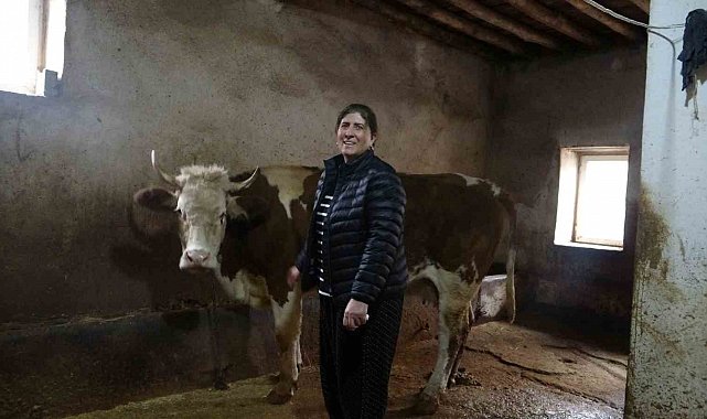 8 erkek adayı geride bırakan kadın muhtar: Hem hayvancılık yapıyor hem mahallesini yönetiyor