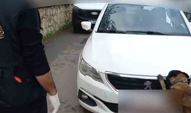 92 kilo bonzai hammaddesi taşıyan 2 şüpheli gözaltına alındı