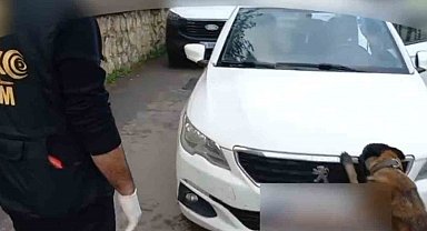 92 kilo bonzai hammaddesi taşıyan 2 şüpheli gözaltına alındı