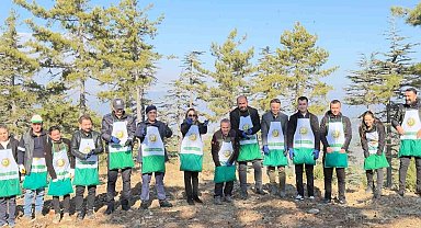 Adana'da bir yılda 50 ton sedir tohumu toprakla buluştu