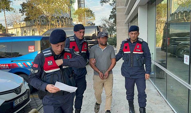 Ağaç kesimi sırasında komşusunun ölümüne sebep olan şahıs tutuklandı