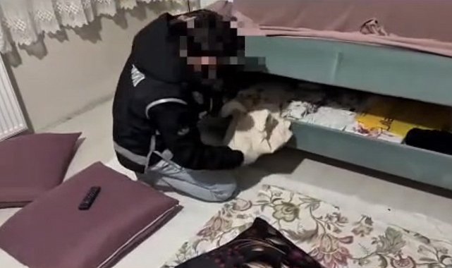 Ağrı'da kaçakçılık operasyonunda milyonluk telefon ve sigara ele geçirildi