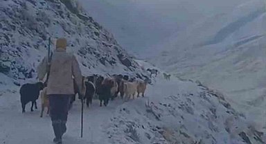 Ağrı'da kar ve tipi hayatı durdurdu