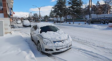 Ahlat'ta kar yağışı: 20 köy yolu ulaşıma kapandı