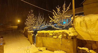 Ahlat'ta kar yağışı