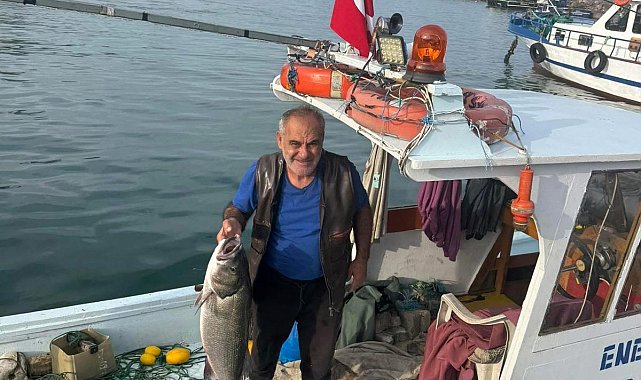 Akçakoca'da balıkçı ağına 10 kiloluk levrek takıldı