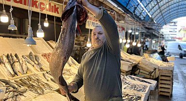 Akdeniz'de 1,5 metrelik Atlas balığı yakalandı