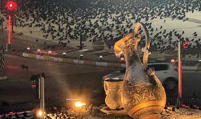 Akşam saatlerinde dikkat! Erzincan'da kargalar sokakları sardı