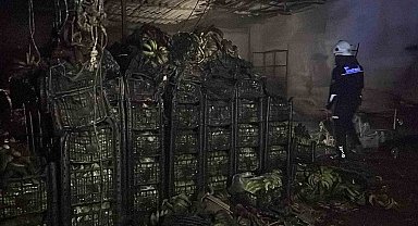 Alanya'da muz sarartma tesisinde yangın: Tonlarca muz zarar gördü