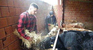Almanya'dan köyüne döndü, çobanlık yapmaya başladı