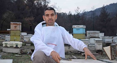 Ana arı üretiminde büyük başarı: Bir arı kovanıyla hobi olarak başladı, şimdi Türkiye'nin her yerine koloni gönderiyor