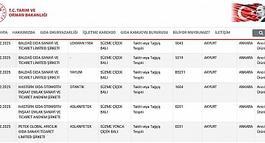 Ankara'da bal uyarısı: Taklit ve tağşiş yapılan ürünler listede