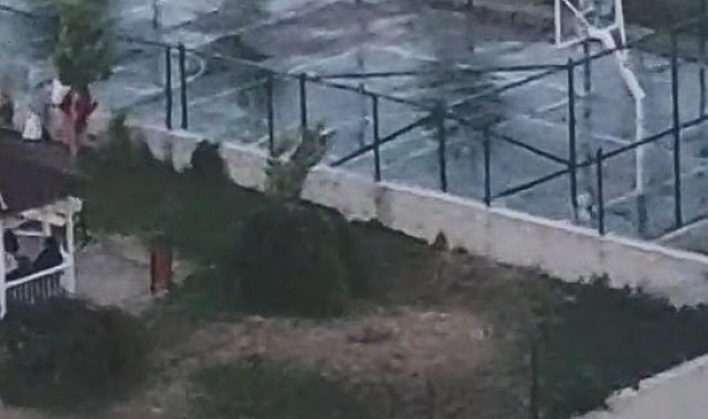 Ankara'da iki kardeşe saldıran pitbullun sahibinin, köpeğini tasmasız ve ağızlıksız gezdirdiği görüntüler ortaya çıktı