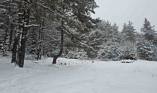 Ankara'da yaylalar beyaza büründü