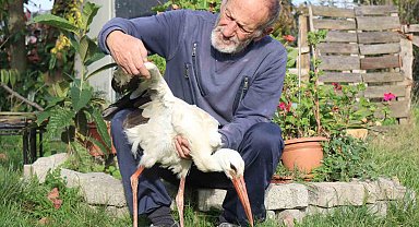Annesinin yuvadan attığı leyleğe, mahalleli anne ve baba oldu