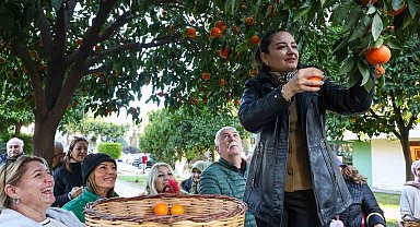 Antalya'nın turunçları Korkuteli'nden sofralara uzanıyor