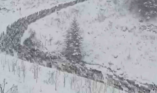 Anzer Yaylası'na kar yağdı, her yer beyaza büründü