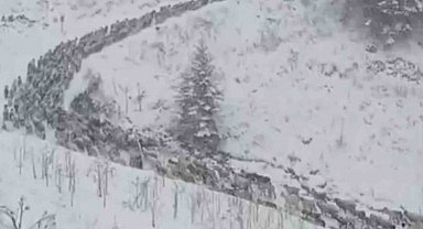 Anzer Yaylası'na kar yağdı, her yer beyaza büründü