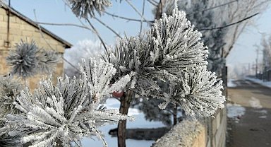 Araçlarını soğuktan korumak için battaniyelerle örtüyorlar