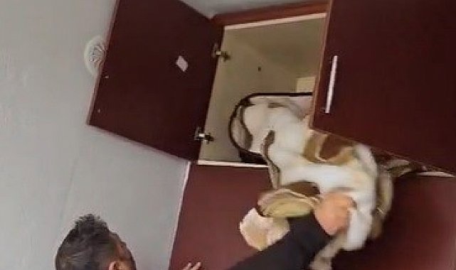 Aranan şahsın yakalandığı yer pes dedirtti