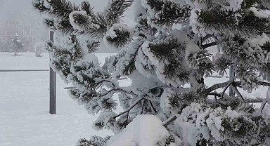 Ardahan'da dondurucu soğuklar etkisini artırdı: Ağaçlar kırağı tuttu