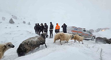 Artvin'de çığ altında kalan 3 çobandan birinin cansız bedenine ulaşıldı