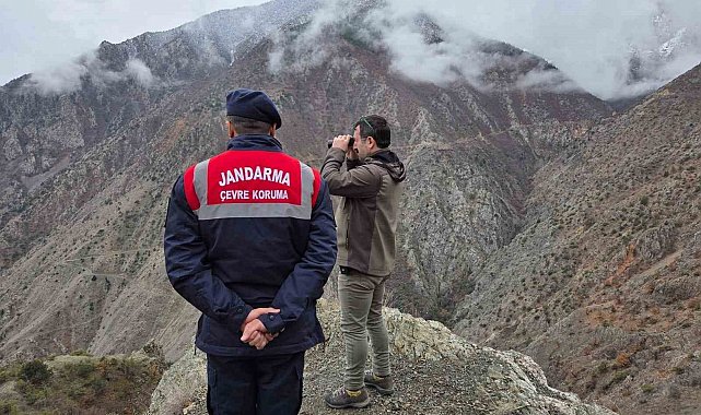 Artvin'de kaçak ve usulsüz avcılığa yönelik denetimler sürüyor