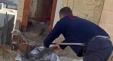 Asansör boşluğunda mahsur kalan kedi için itfaiye seferber oldu