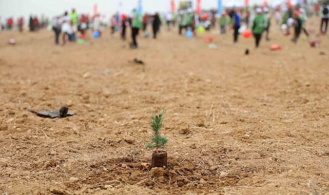 ATÜ yeşil kampüs olma yolunda ilerliyor: Dikilen fidan sayısı 22 bin 500'ü buldu