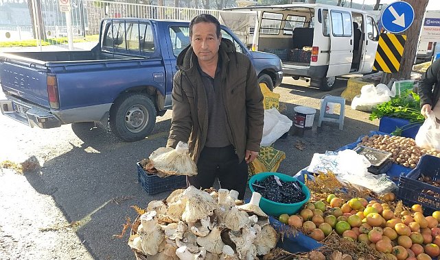 Aydın'daki dev mantarlar pazarda ilgi odağı oldu