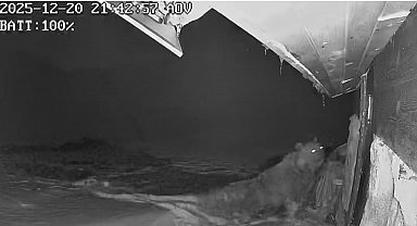 Ayılar kış uykusu nedir bilmiyor, yayla evlerine saldırıları sürüyor