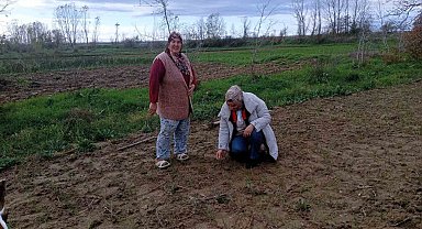 Babaeski'de sera ve sarımsak üretim alanlarında üretim şartları kontrol edildi