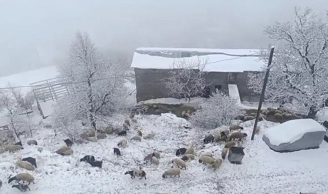 Bahçesaray'da kar yağışı