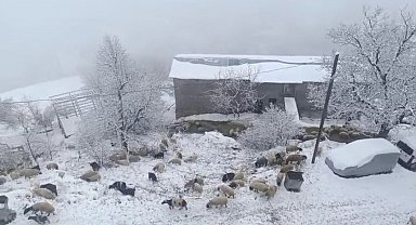 Bahçesaray'da kar yağışı