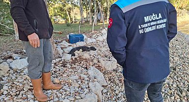 Balıkçıların kurtardığı yavru Akdeniz Foku yetkililere teslim edildi