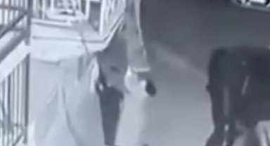 Balkondaki halıyı çaldı