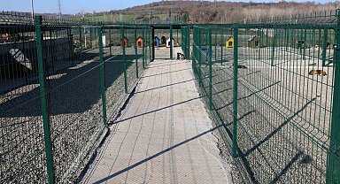 BARÜ'de kampüsteki hayvanlar için yaşam merkezi oluşturuldu