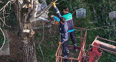 Başiskele'de budanan ağaç dalları ihtiyaç sahiplerine yakacak oluyor