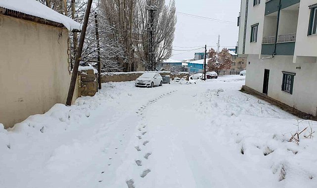 Başkale'de kar etkili oldu