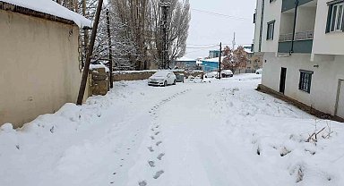 Başkale'de kar etkili oldu