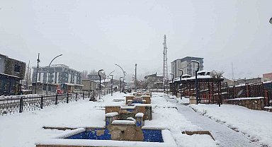 Başkale'de kar kalınlığı 20 santimetreyi geçti