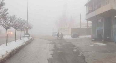 Başkale'de sis etkili oldu