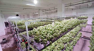 Batman'a eksi birinci katta 30 milyonluk "dikey tarım" yatırımı