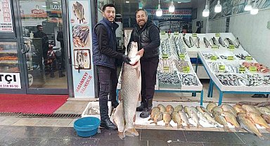 Batman'da dev turna balığı ilgi odağı oldu