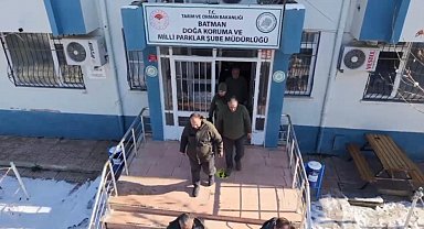 Batman'da yaban hayvanları için doğaya yem bırakıldı